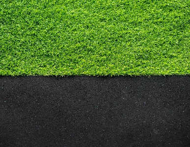 Artificial Turf