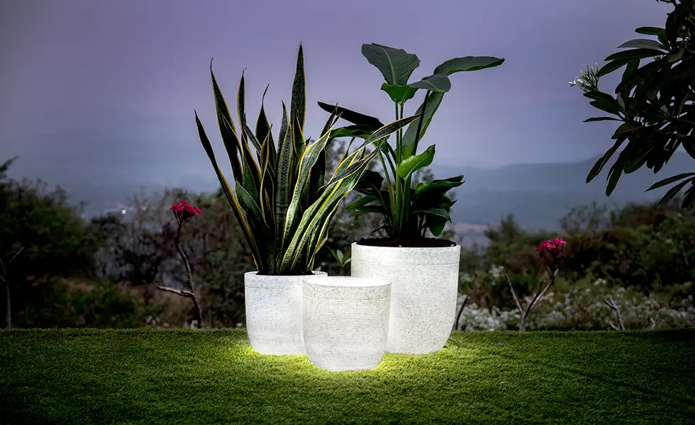 Planters