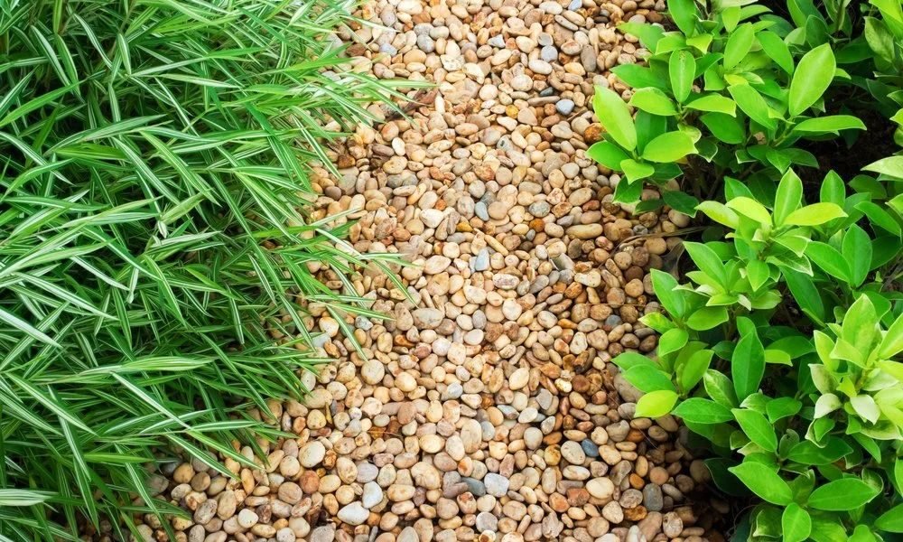 Garden Pebbles & Stones Supplier in Kolkata (3)