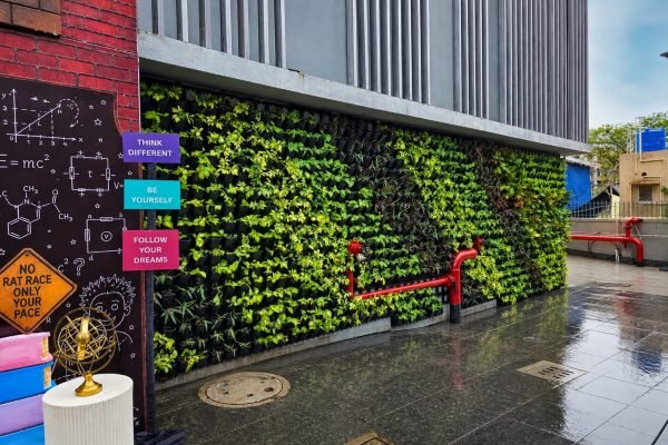 Vertical Garden with automatic irrigation system