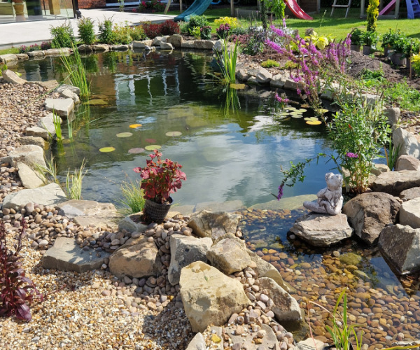 natural ponds